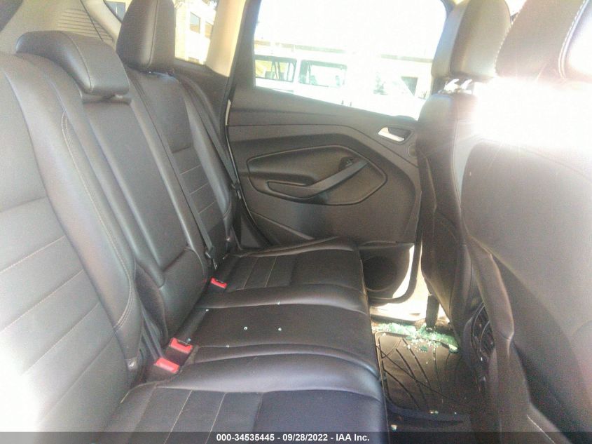 2015 FORD C-MAX ENERGI SEL 1FADP5CU1FL121948