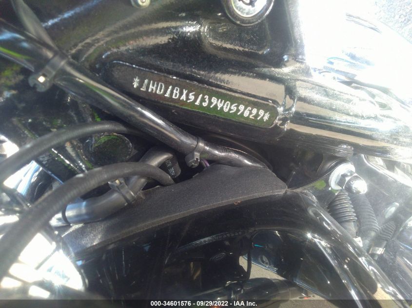 2009 HARLEY-DAVIDSON FLSTF 1HD1BX5139Y059629