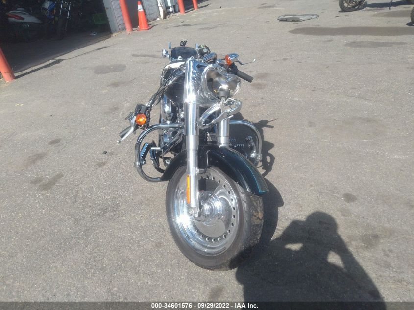 2009 HARLEY-DAVIDSON FLSTF 1HD1BX5139Y059629