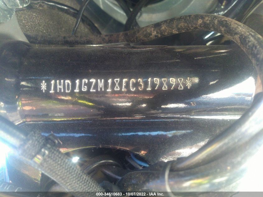 2014 HARLEY-DAVIDSON FLD SWITCHBACK 1HD1GZM18EC319898