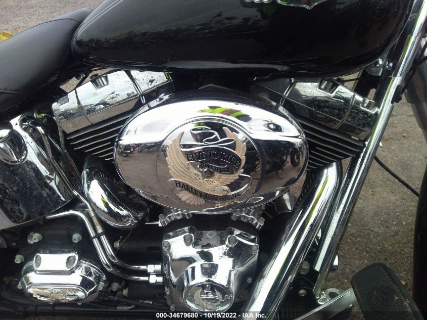 2010 HARLEY-DAVIDSON FLSTN 1HD1JD510AB033384