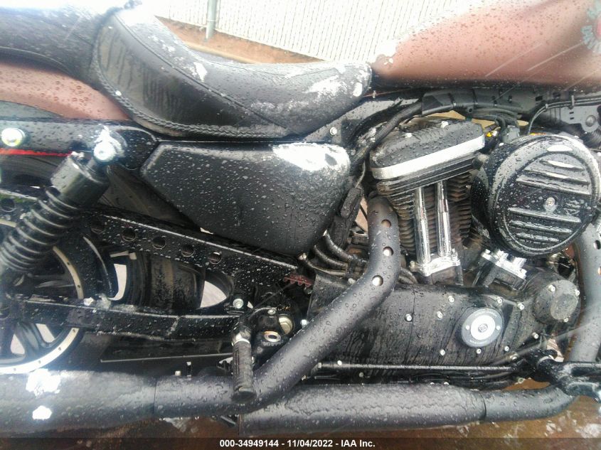 2019 HARLEY-DAVIDSON XL883 N 1HD4LE21XKC423695