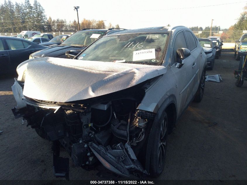 Auction sale of the 2020 LEXUS NX , vin: JTJSARDZXL5006220, lot number: 34737358