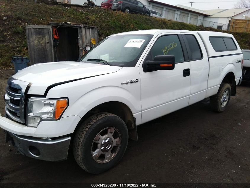 2013 FORD F-150 XL/STX/XLT - 1FTEX1EM5DFB45072