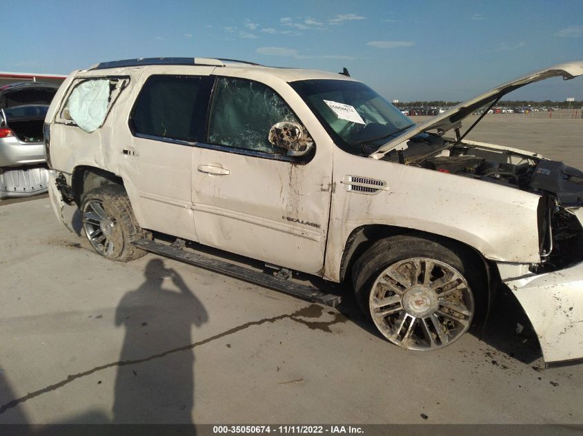 2013 CADILLAC ESCALADE PREMIUM 1GYS3CEF8DR228273