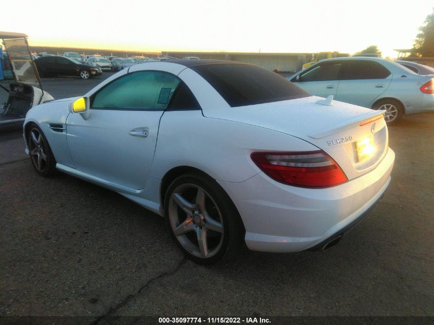 2014 MERCEDES-BENZ SLK-CLASS SLK 250 WDDPK4HA4EF081088
