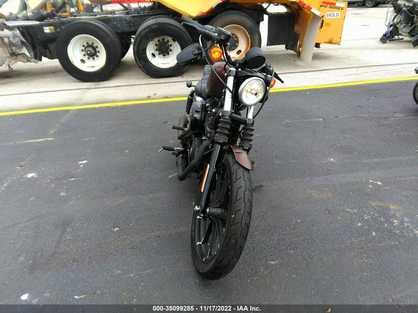 VIN 1HD4LE210KC429439 2019 HARLEY-DAVIDSON XL883 N