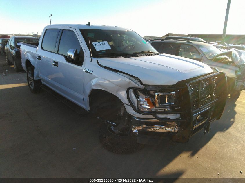 2019 FORD F-150 XL/XLT 1FTEW1CB8KKC75940