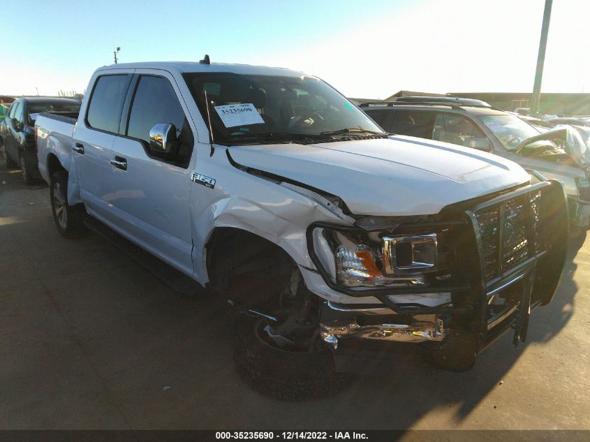 2019 FORD F-150 XL/XLT 1FTEW1CB8KKC75940