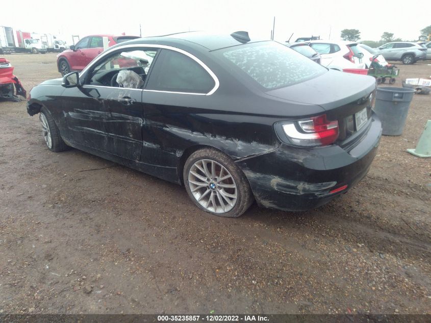 2014 BMW 2 SERIES 228I - WBA1F5C56EVV99176