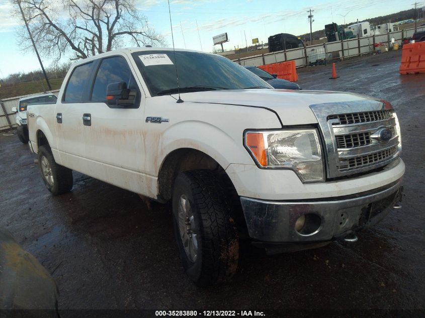 2014 FORD F-150 XL/XLT/STX/FX4/LARIAT 1FTFW1EF6EKD46531