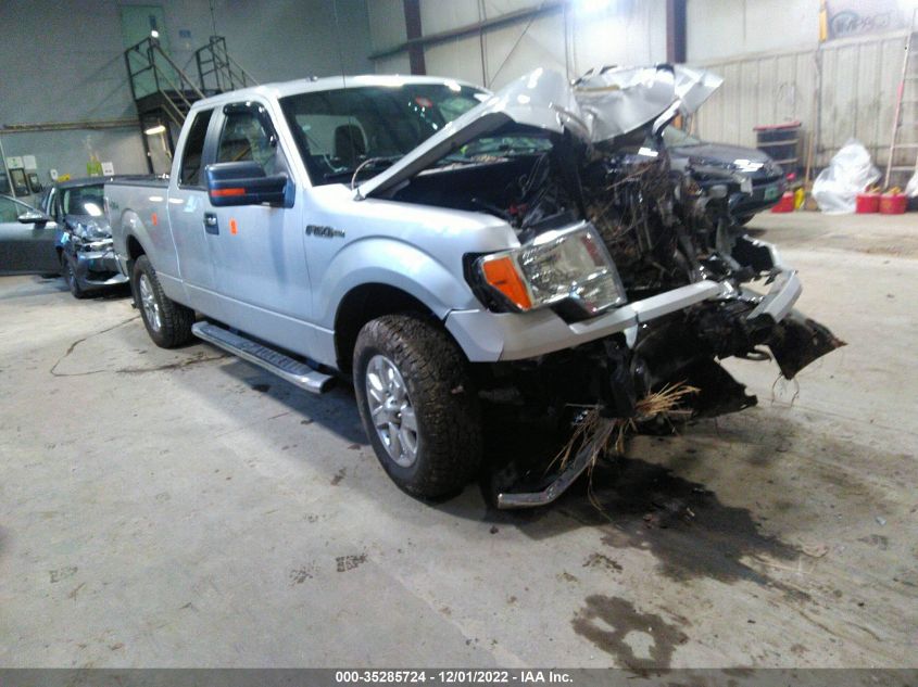 2013 FORD F-150 XL/STX/XLT/FX4/LARIAT - 1FTFX1EFXDKF69005