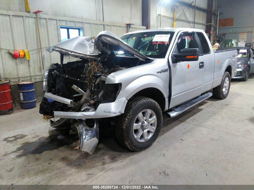 2013 FORD F-150 XL/STX/XLT/FX4/LARIAT - 1FTFX1EFXDKF69005