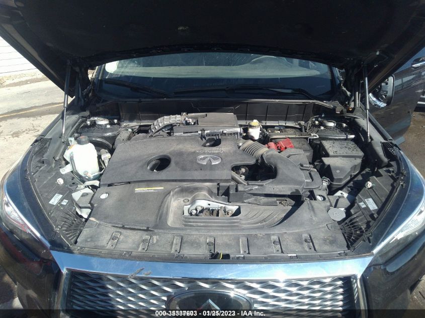 2019 INFINITI QX50 LUXE 3PCAJ5M38KF137338