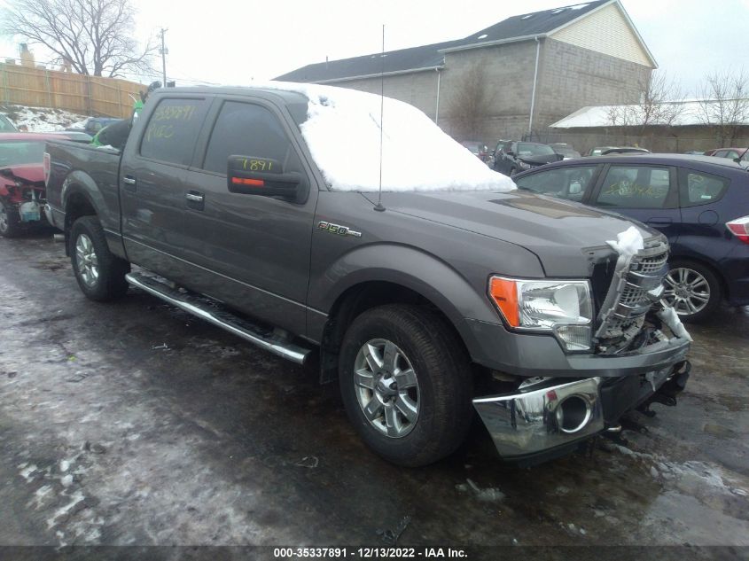2013 FORD F-150 XL/XLT/FX4/LARIAT 1FTFW1EF8DKG50944