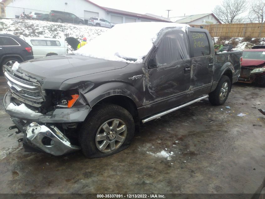 2013 FORD F-150 XL/XLT/FX4/LARIAT 1FTFW1EF8DKG50944