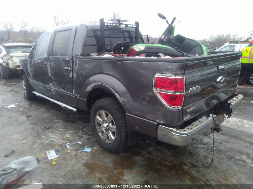 2013 FORD F-150 XL/XLT/FX4/LARIAT 1FTFW1EF8DKG50944