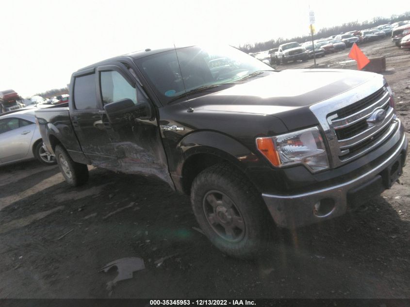 2013 FORD F-150 XL/XLT/FX4/LARIAT 1FTFW1EF3DFA81333
