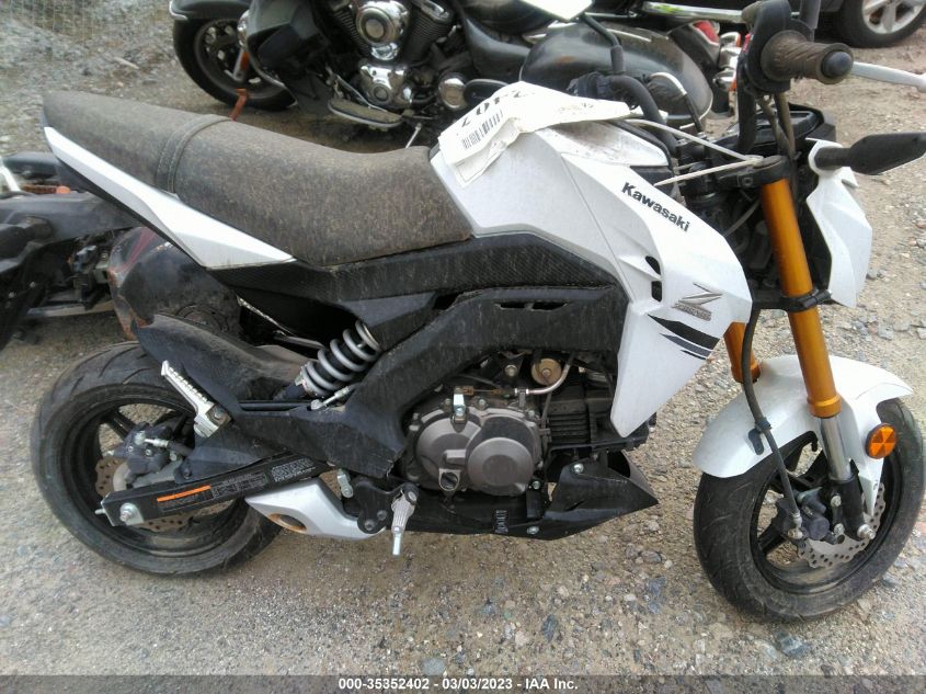 2020 KAWASAKI BR125 J JKABRRJ19LDA17304
