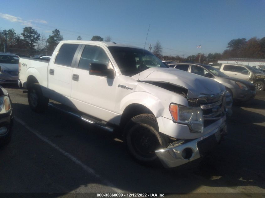 2013 FORD F-150 XL/XLT/FX4/LARIAT 1FTFW1EF8DFA21709