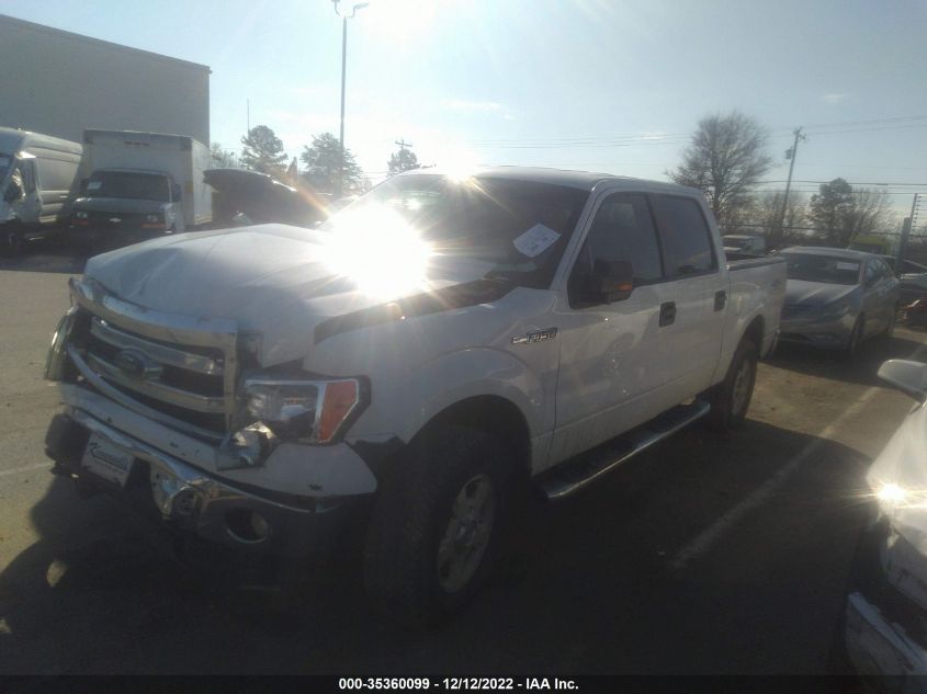 2013 FORD F-150 XL/XLT/FX4/LARIAT 1FTFW1EF8DFA21709