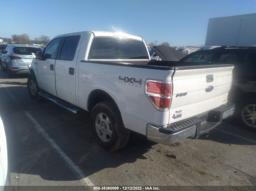 2013 FORD F-150 XL/XLT/FX4/LARIAT 1FTFW1EF8DFA21709