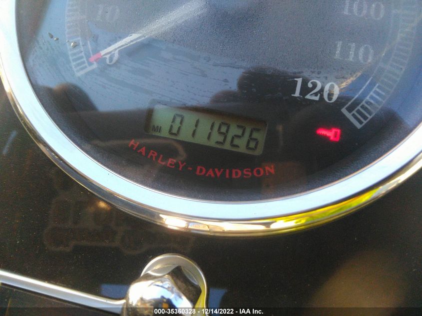 2010 HARLEY-DAVIDSON FLSTFB 1HD1JN518AB014314