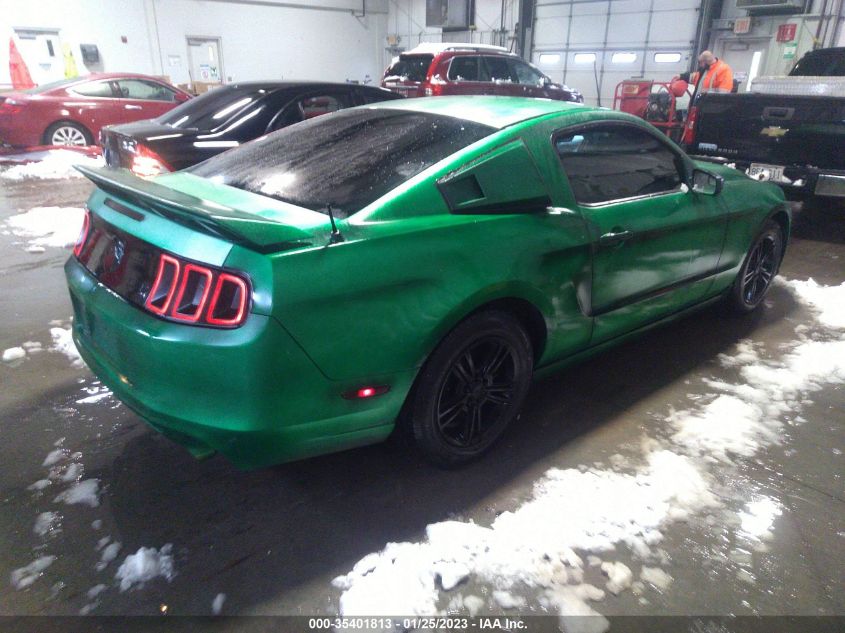 VIN 1ZVBP8AM6D5237036 2013 FORD MUSTANG no.4