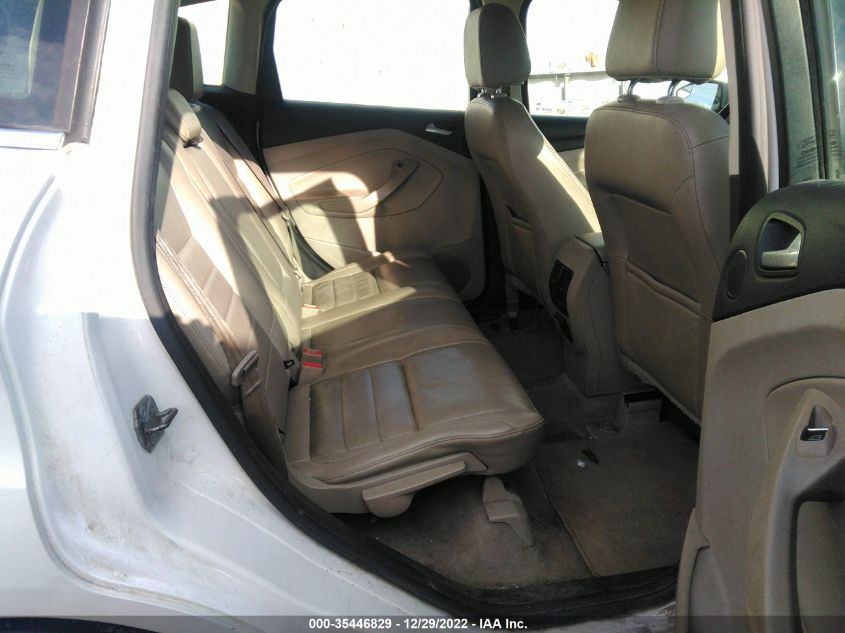 2013 FORD C-MAX ENERGI SEL 1FADP5CU9DL531149