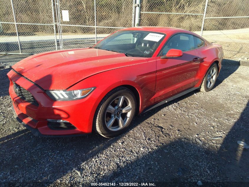 1FA6P8AM8H5235031 2017 FORD MUSTANG - Image 2