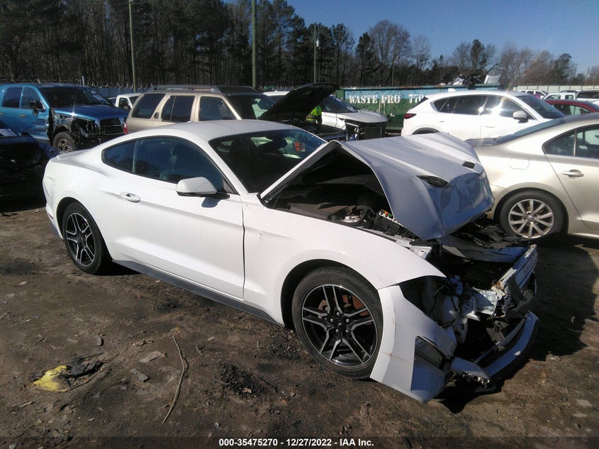 FORD MUSTANG ECOBOOST 2019