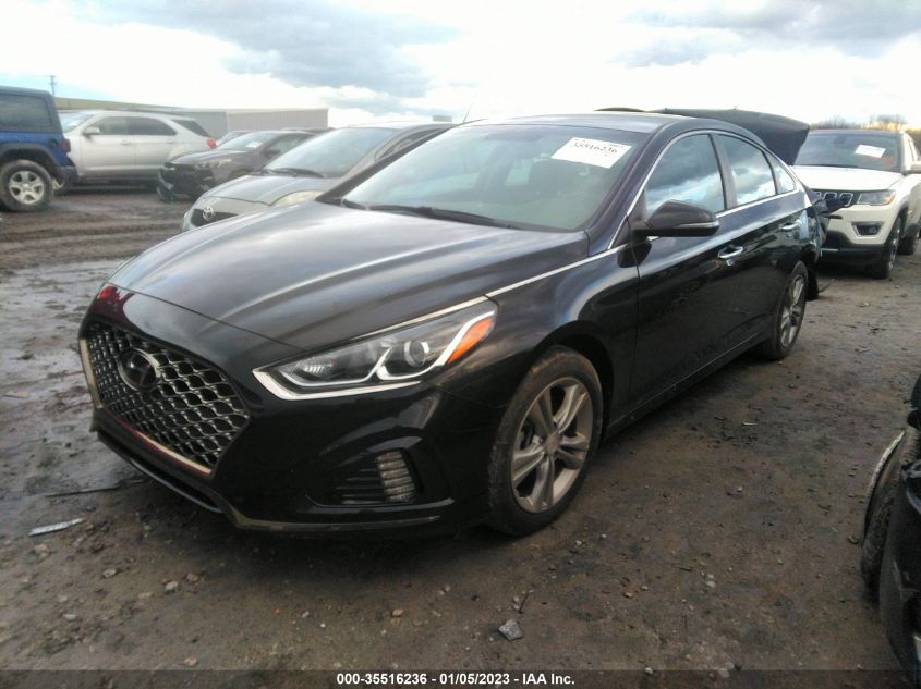 VIN 5NPE34AF5KH764505 2019 HYUNDAI SONATA SEL