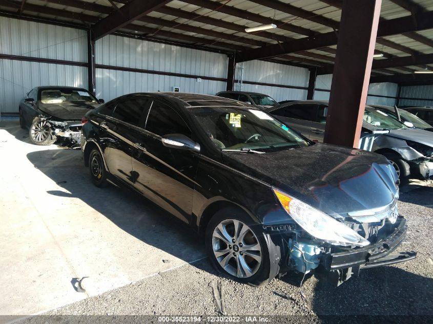 2013 HYUNDAI SONATA LIMITED PZEV W/WINE INT - 5NPEC4AC6DH688673