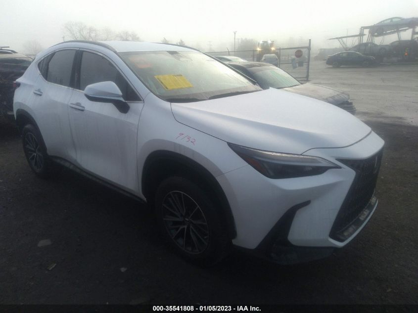 VIN JTJADCAZ2N2001859 2022 LEXUS NX no.1