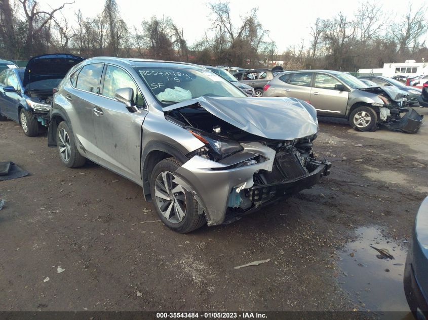 JTJGJRDZ9L2129272 LEXUS NX NX 300H 2020