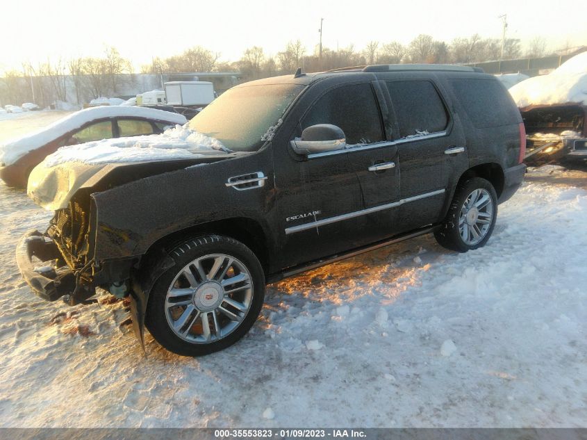 2013 CADILLAC ESCALADE PLATINUM EDITION 1GYS4DEF7DR342400