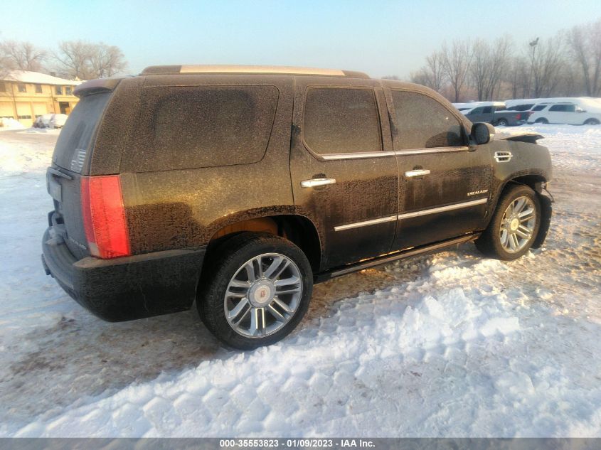 2013 CADILLAC ESCALADE PLATINUM EDITION 1GYS4DEF7DR342400