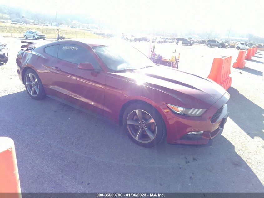 1FA6P8AM4F5431058 2015 FORD MUSTANG, photo no. 1