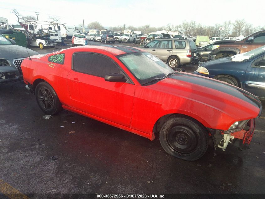 2014 FORD MUSTANG V6 - 1ZVBP8AM9E5242233