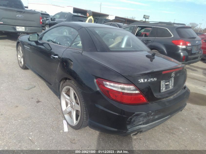 2014 MERCEDES-BENZ SLK-CLASS SLK 250 WDDPK4HAXEF074985