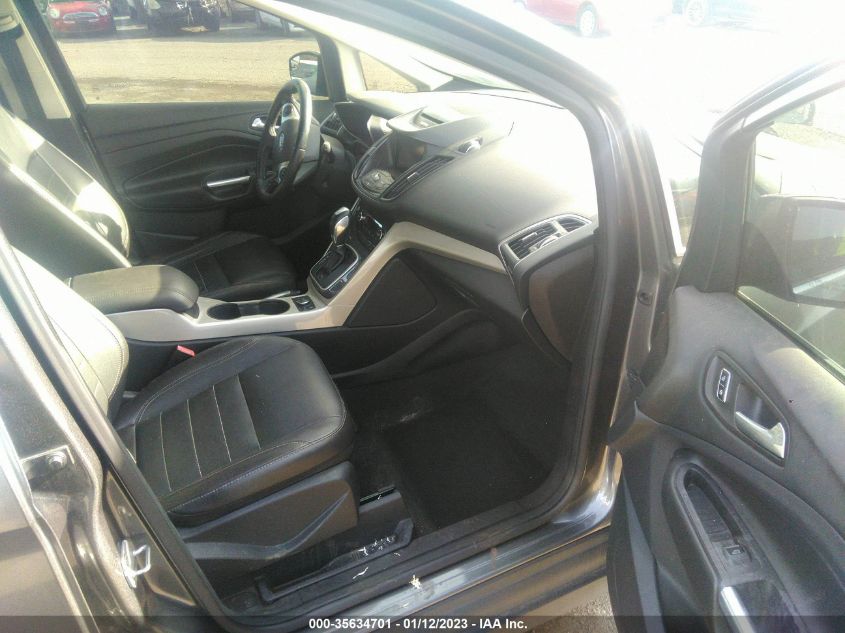 2013 FORD C-MAX ENERGI SEL 1FADP5CU7DL542084
