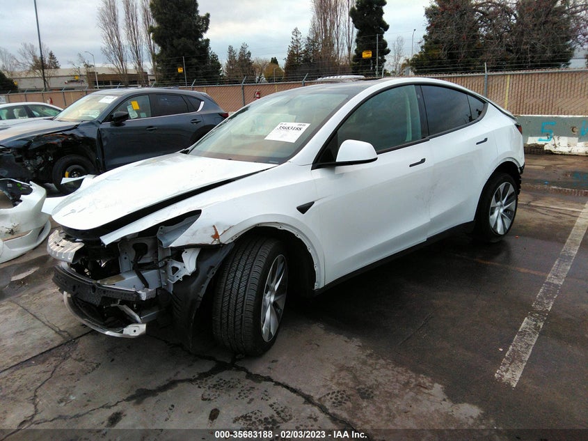 VIN 5YJYGDEE8MF303044 2021 TESLA MODEL Y LONG RANGE