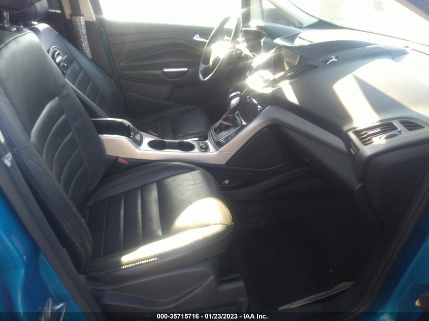 2015 FORD C-MAX ENERGI SEL 1FADP5CU9FL112236