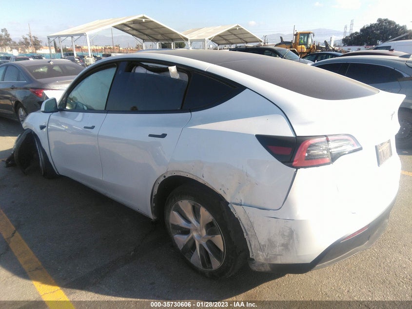 VIN 5YJYGDEE4MF230786 2021 TESLA MODEL Y LONG RANGE