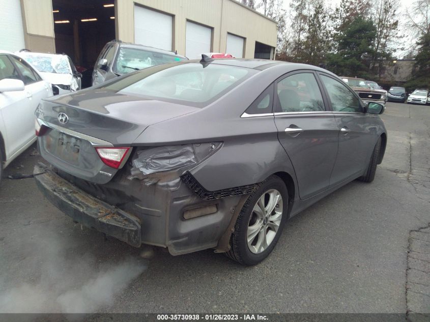 2013 HYUNDAI SONATA LIMITED - 5NPEC4ACXDH604211