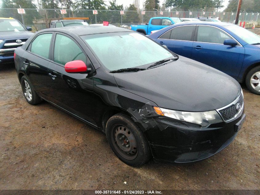 2013 KIA FORTE EX - KNAFU4A27D5658636