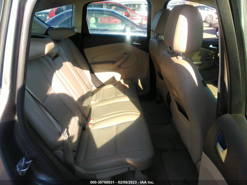 2013 FORD C-MAX ENERGI SEL 1FADP5CU3DL513617