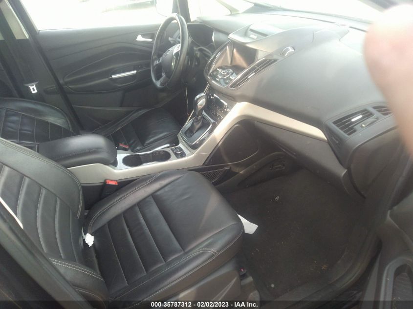 2015 FORD C-MAX ENERGI SEL 1FADP5CU2FL100624