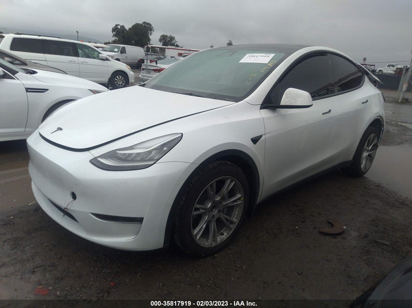 VIN 7SAYGDEE6NF356698 2022 TESLA MODEL Y LONG RANGE
