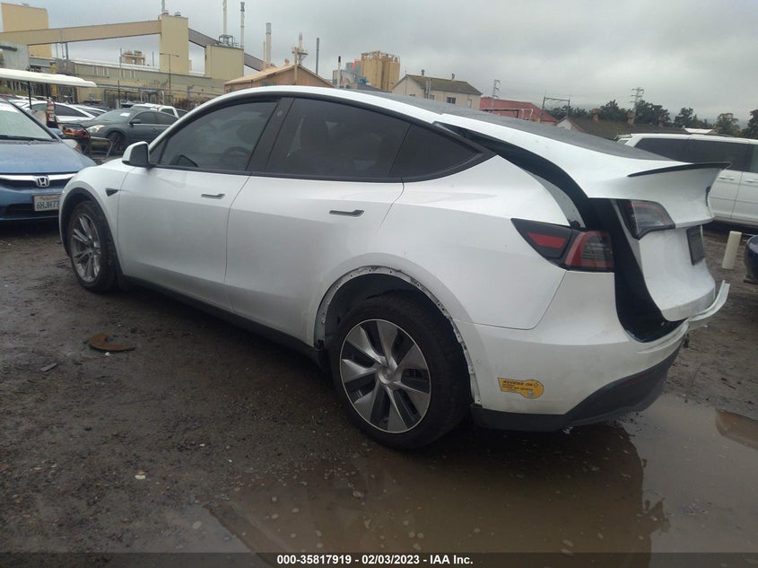 VIN 7SAYGDEE6NF356698 2022 TESLA MODEL Y LONG RANGE